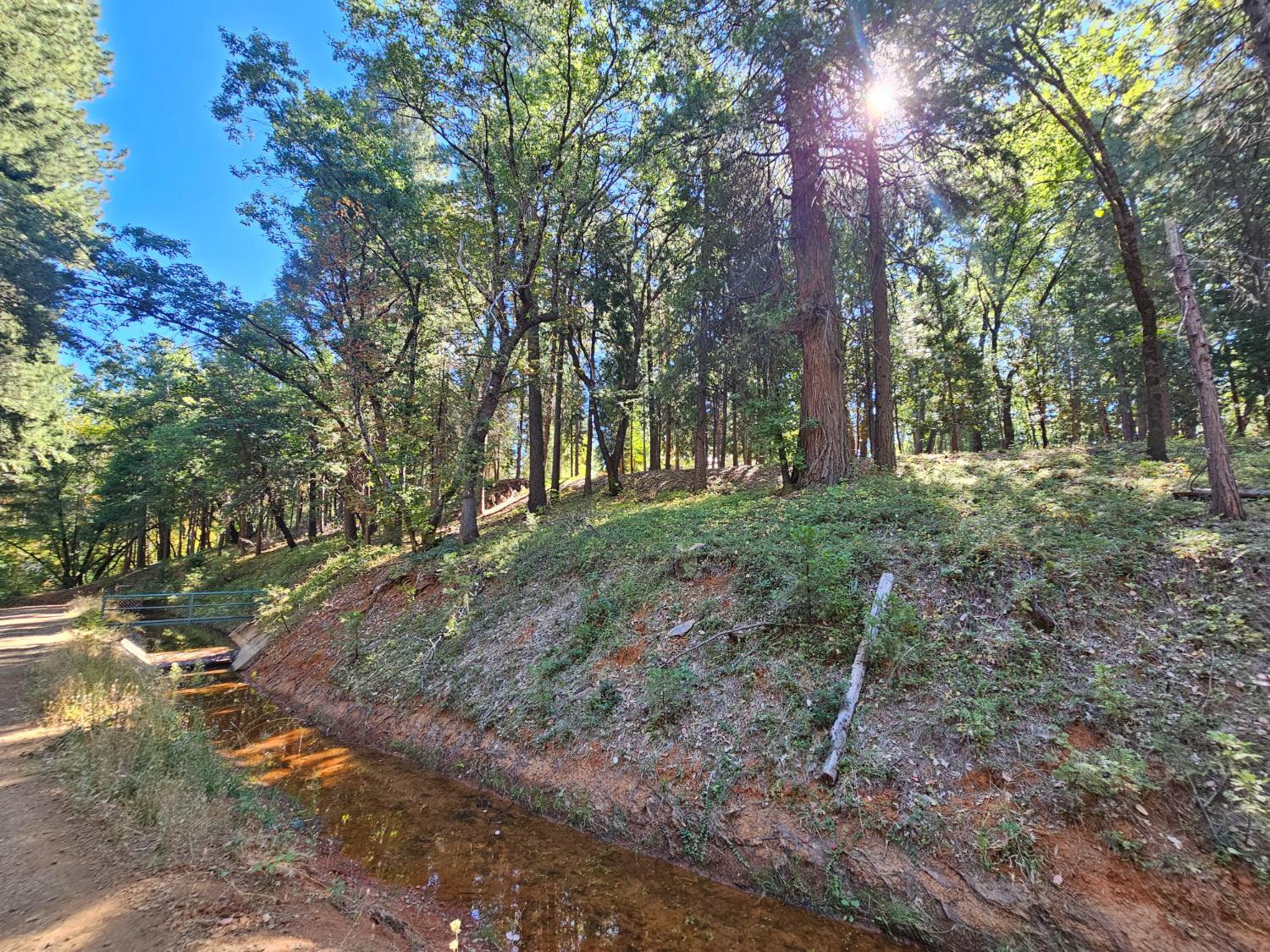 10680 Success Cross Road Nevada City, CA 95959 - Photo 18 of 22 a view of a forest with trees