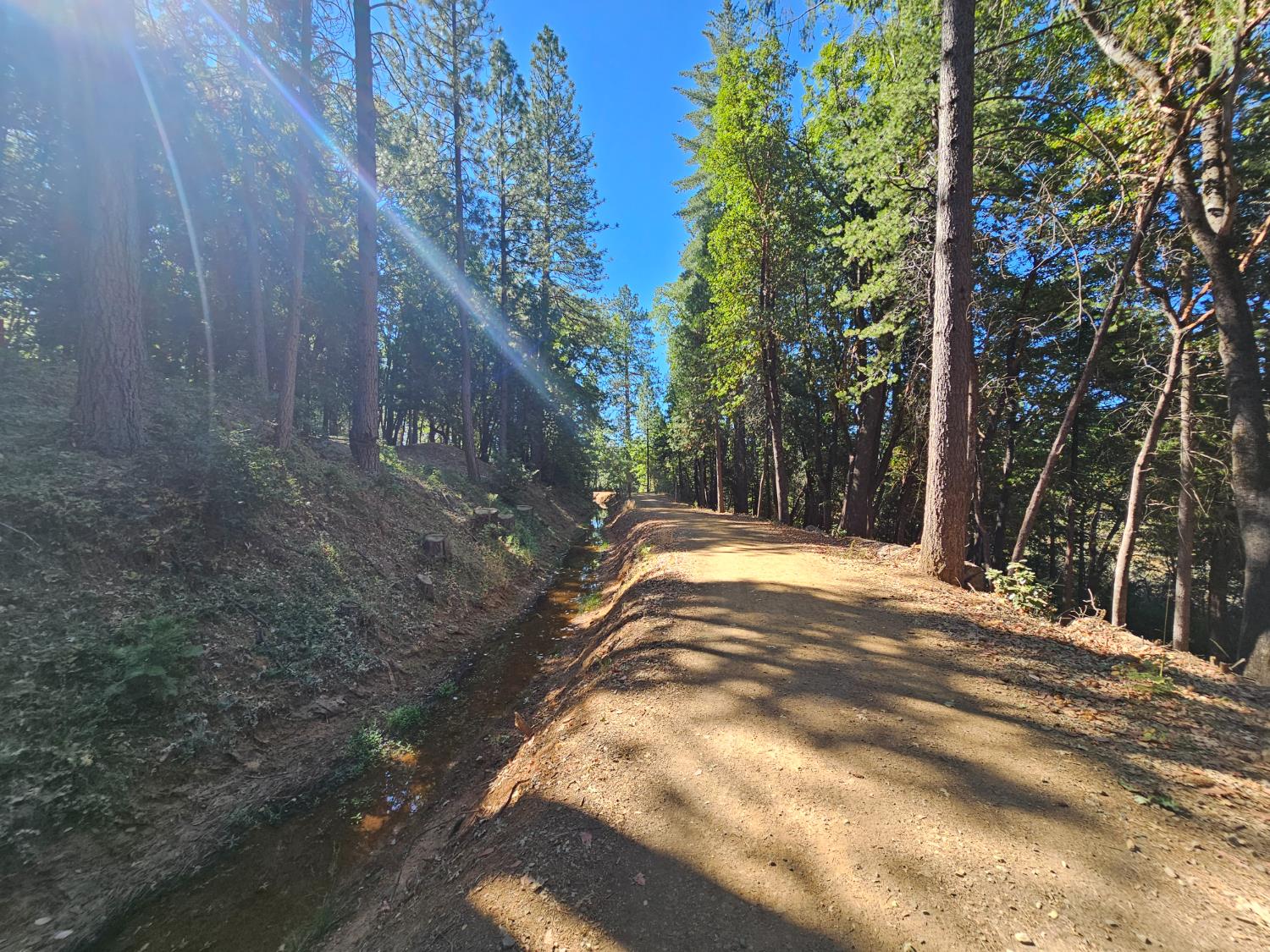 10680 Success Cross Road Nevada City, CA 95959 - Photo 19 of 22 a view of backyard with tree