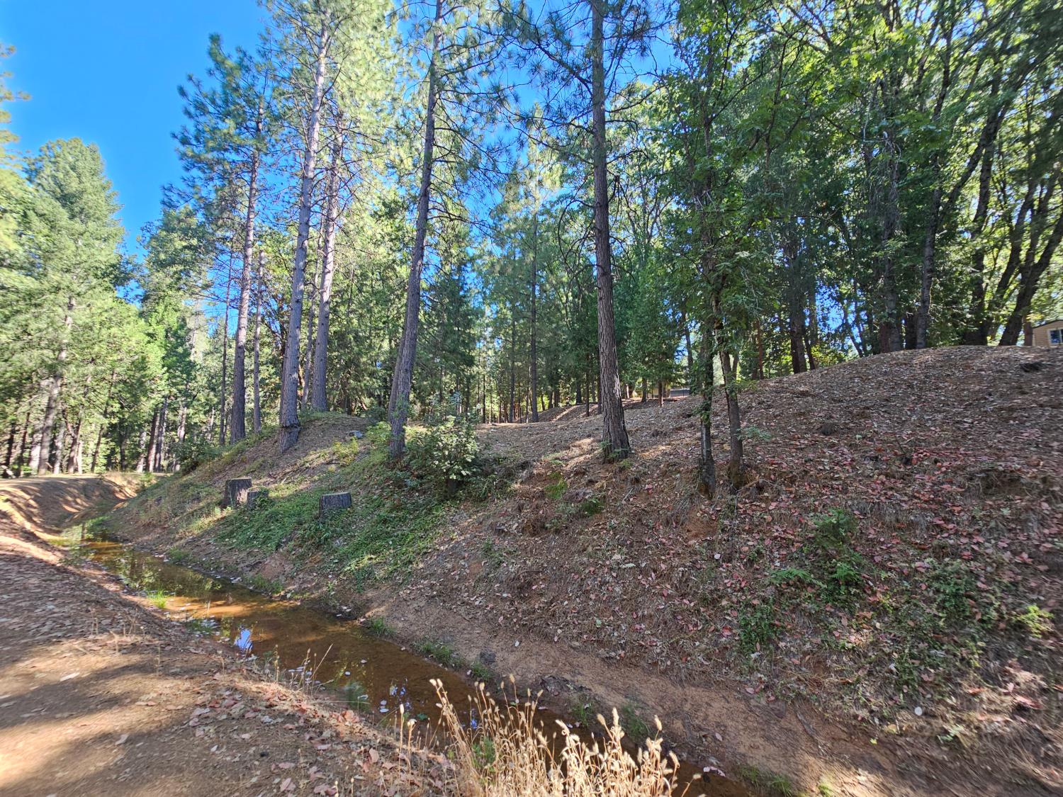 10680 Success Cross Road Nevada City, CA 95959 - Photo 20 of 22 a view of a forest with trees in the background