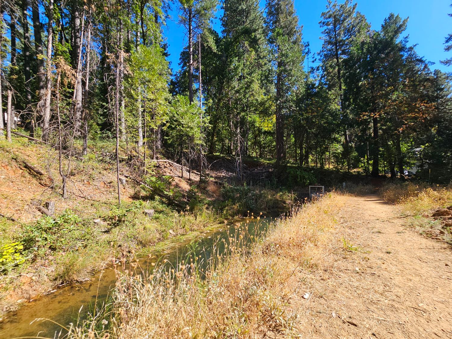 10680 Success Cross Road Nevada City, CA 95959 - Photo 4 of 22