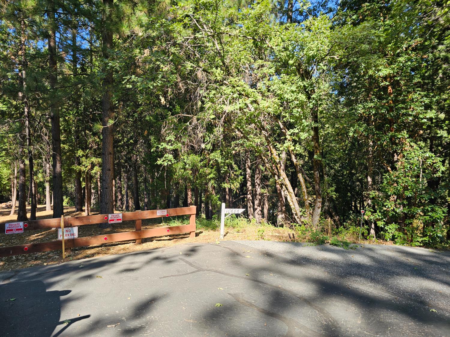 10680 Success Cross Road Nevada City, CA 95959 - Photo 6 of 22 a view of road with trees