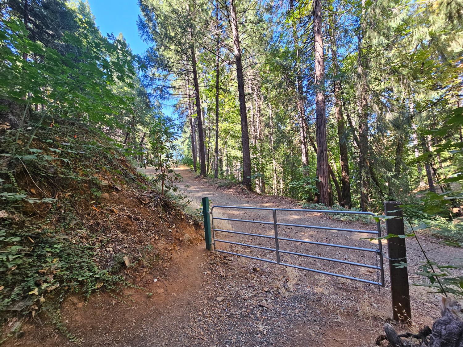10680 Success Cross Road Nevada City, CA 95959 - Photo 10 of 22 a backyard of a house with trees and outdoor seating