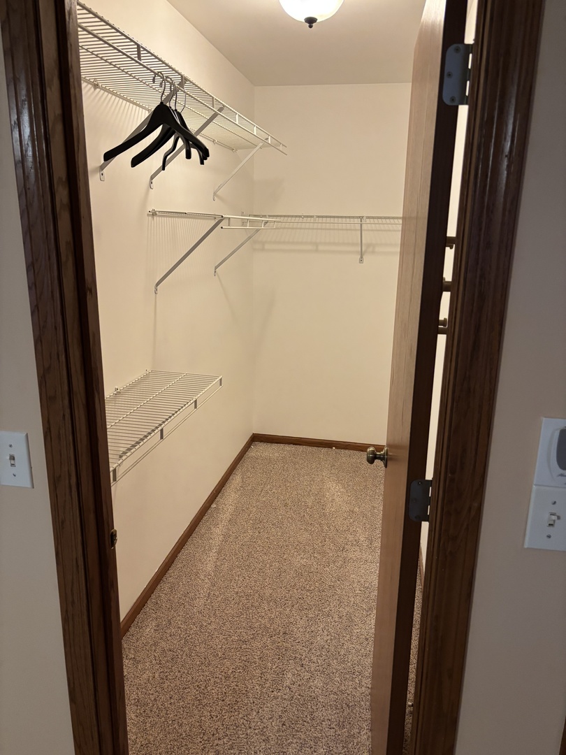2120 Belvidere Line Drive Elgin, IL 60123 - Photo 7 of 11 a view of walk in closet