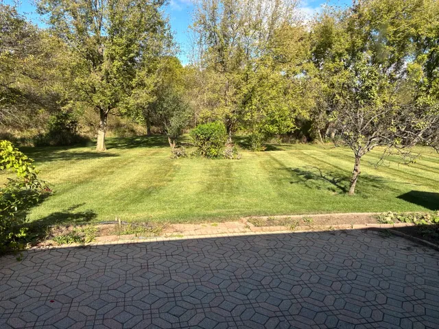 a view of a park with large trees