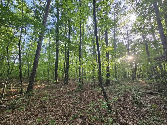 $42,500 | 3 Savage Highland Drive, Unit SW1E, Coalmont, TN 37313