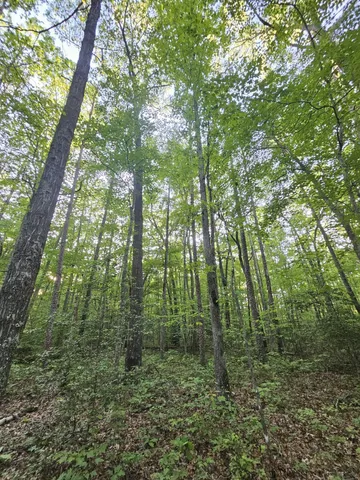 $42,500 | 3 Savage Highland Drive, Unit SW1E, Coalmont, TN 37313