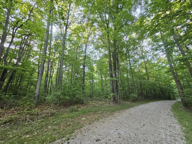 $42,500 | 3 Savage Highland Drive, Unit SW1E, Coalmont, TN 37313