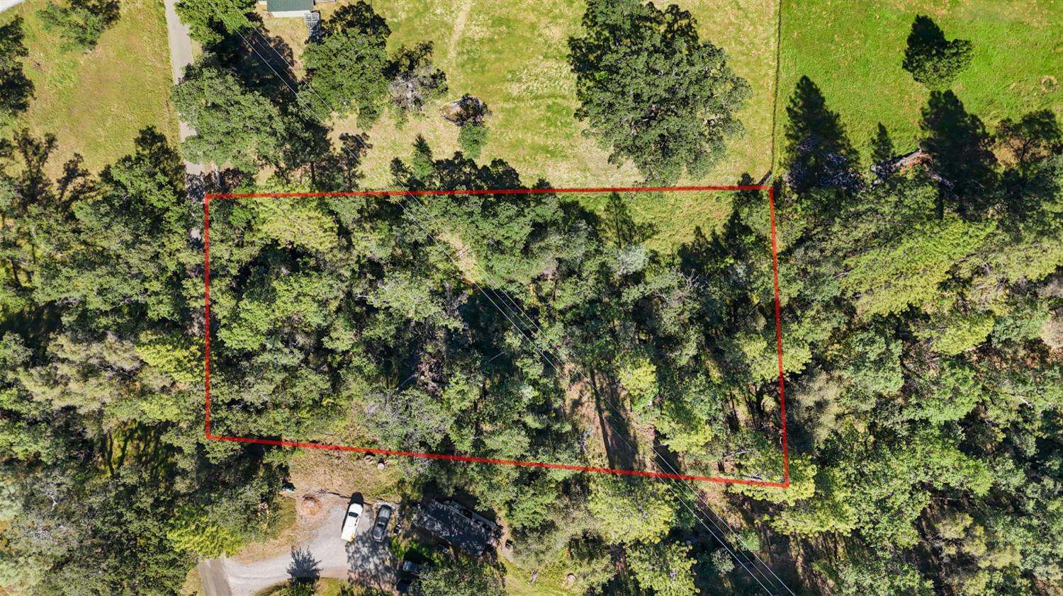 0 Hoot Owl Ravine Road Placerville, CA 95667 - Photo 12 of 20 a view of a garden