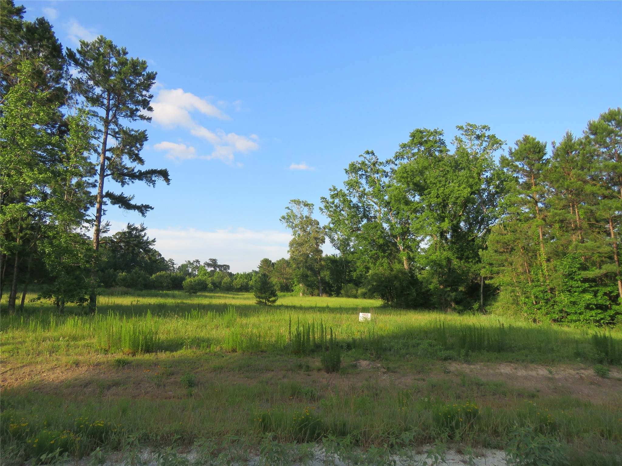 Tbd Tbd Canopy Ridge Trail Crockett, TX 75835 - Photo 9 of 15 Cleared central acreage — flexible layout for home, outbuildings, or hobby farm