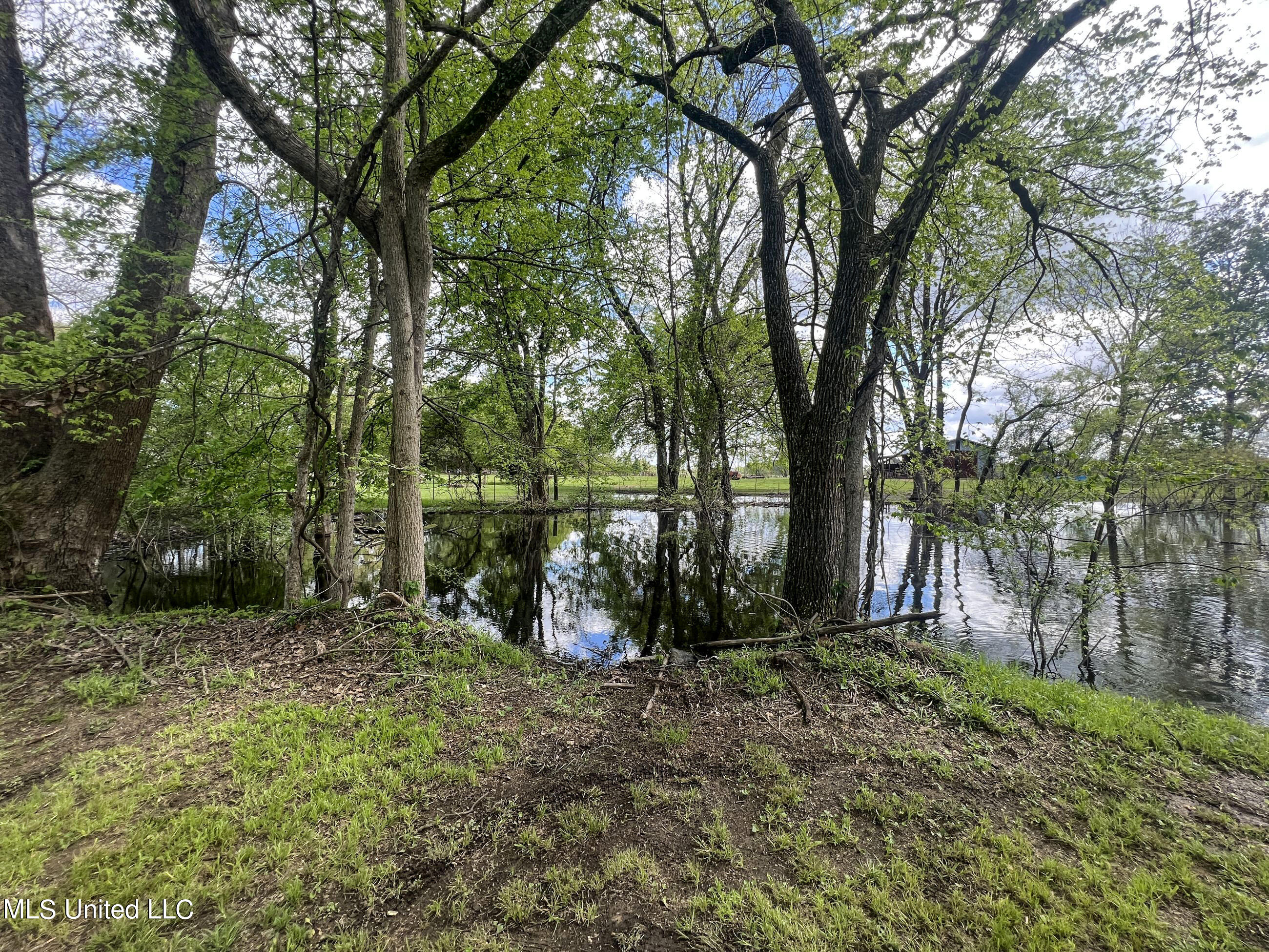 9104 Teasdale Road Enid, MS 38927 - Photo 23 of 125 3bolt14