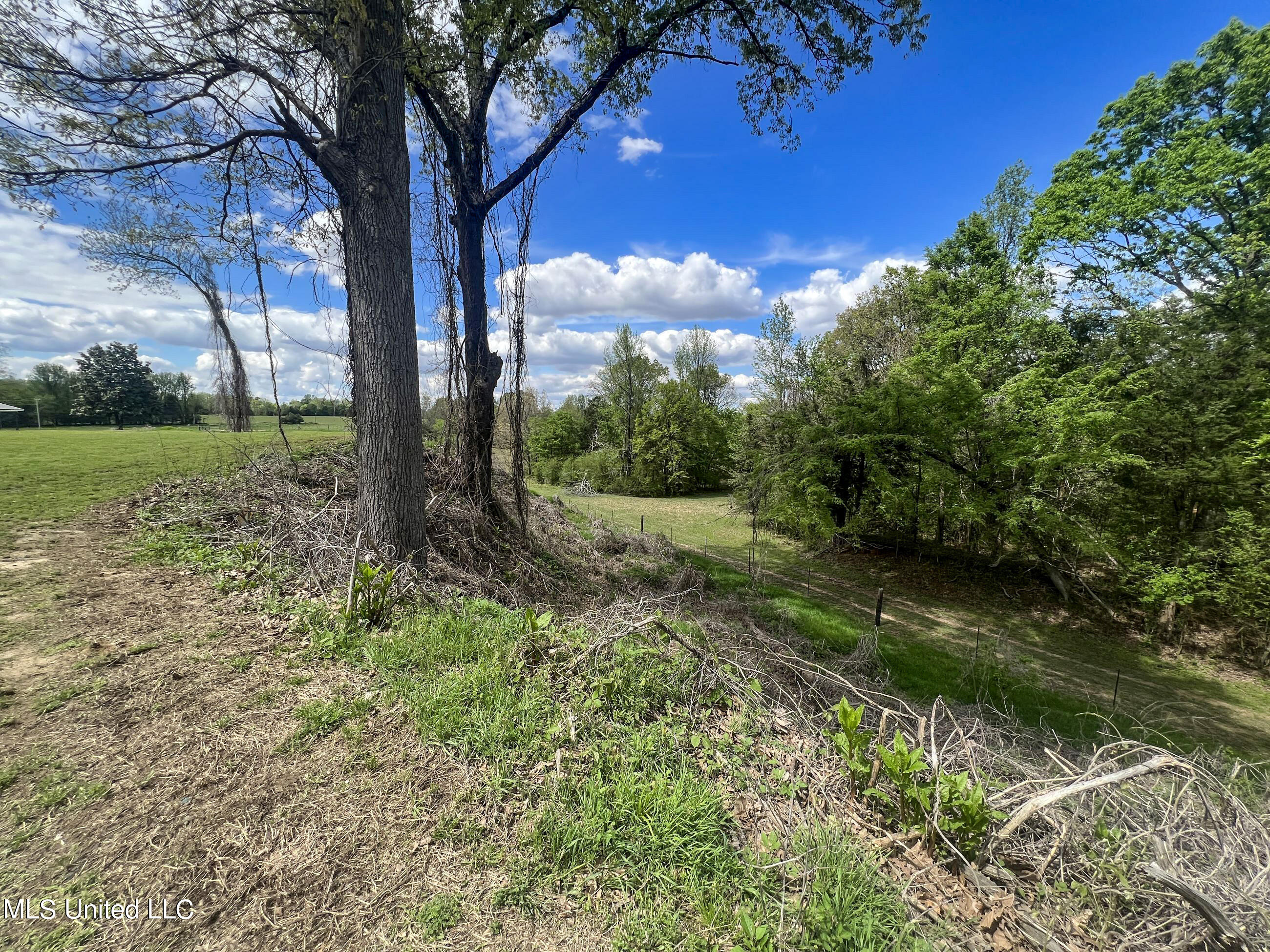 9104 Teasdale Road Enid, MS 38927 - Photo 26 of 125 3bolt21