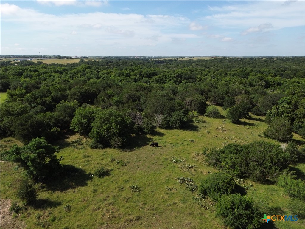 Tbd Lot 6 West Tbd Road Salado, TX 76571 - Photo 7 of 15