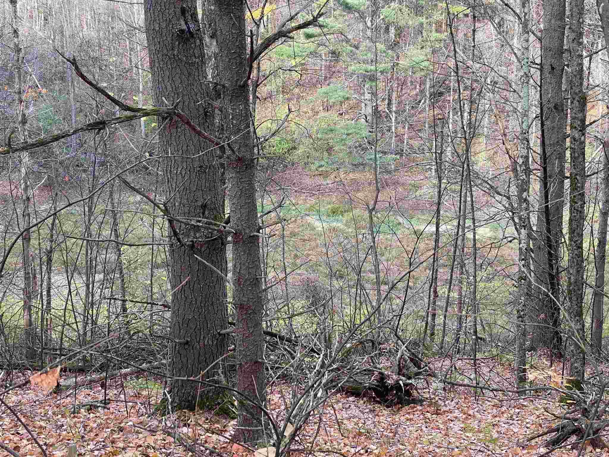 Tbd Lower Notch Road, Unit LOTS 2 & 3 Bristol, VT 05443 - Photo 4 of 9