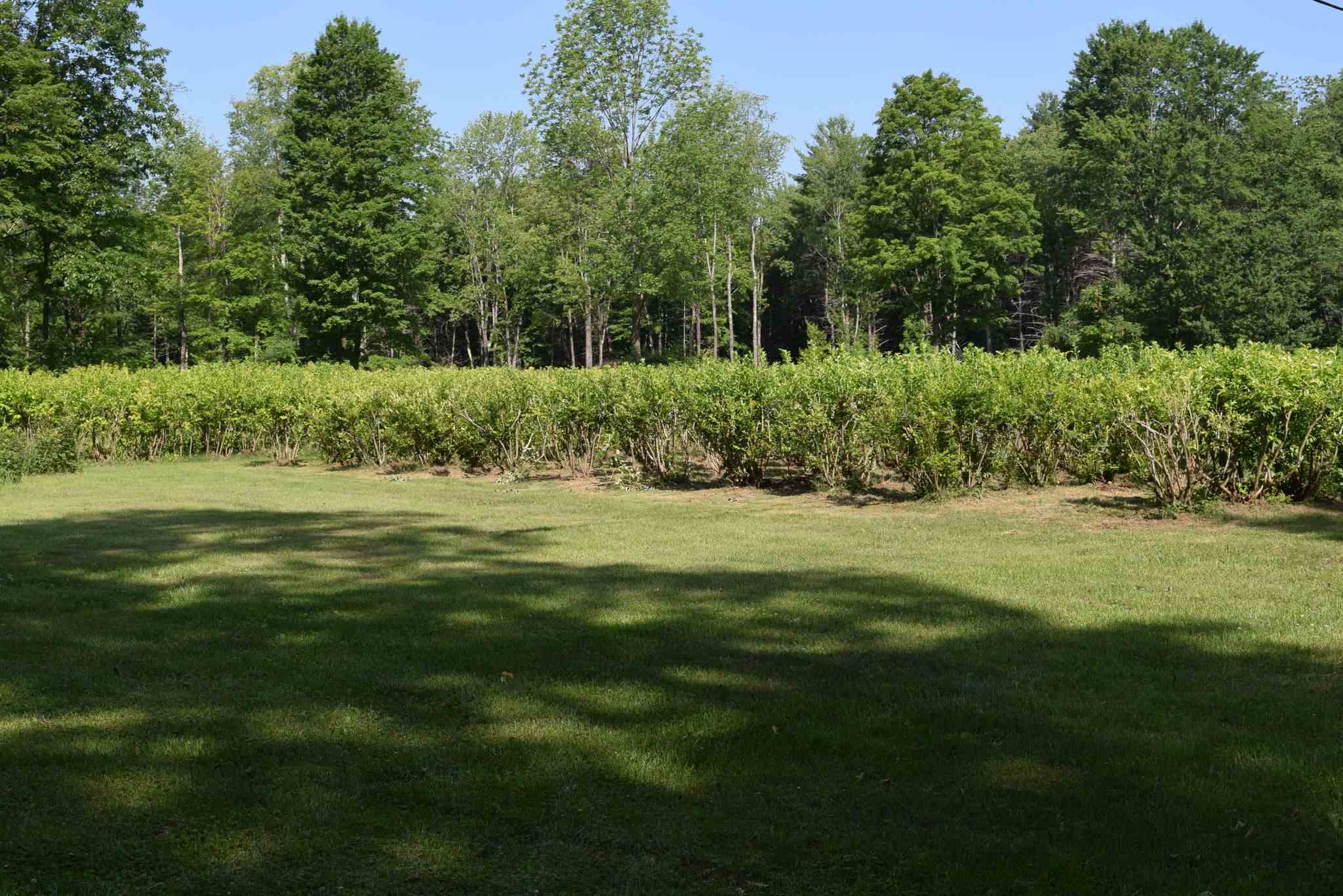 Tbd Lower Notch Road, Unit LOTS 2 & 3 Bristol, VT 05443 - Photo 7 of 9