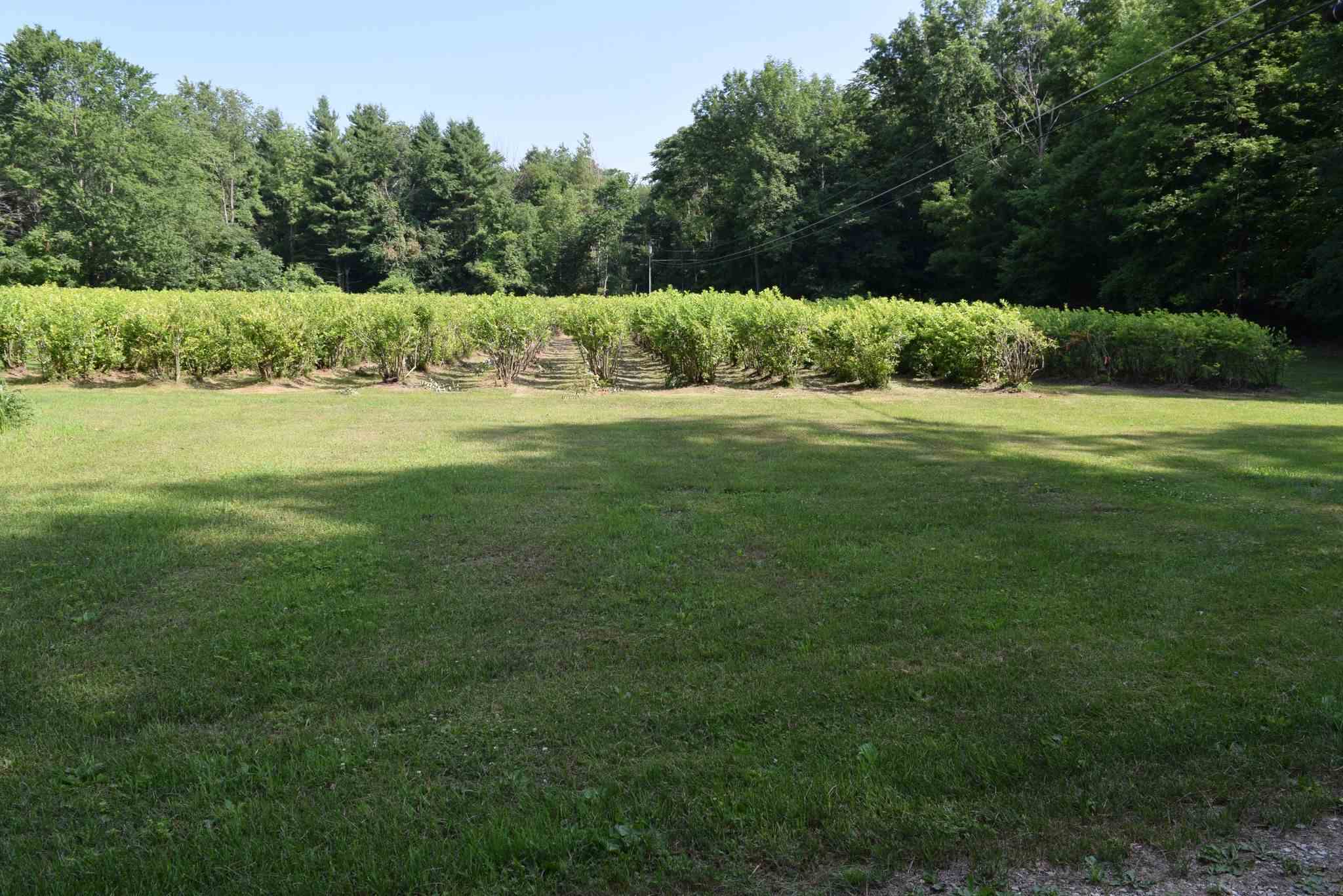 Tbd Lower Notch Road, Unit LOTS 2 & 3 Bristol, VT 05443 - Photo 9 of 9