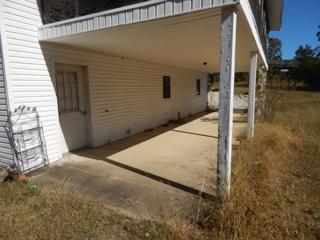 a close up of a plant in a garden
