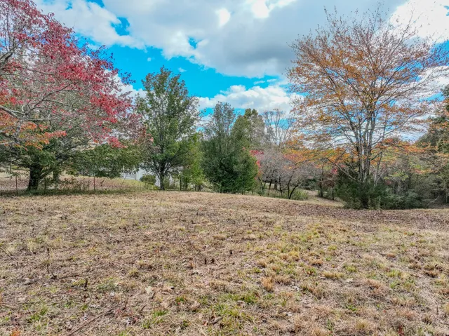 a view of an outdoor space and a yard