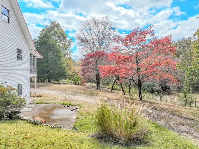 a view of a yard with plants and trees