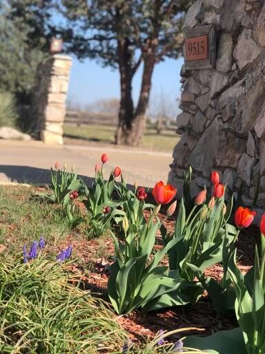 1061 Tascosa Road Amarillo, TX 79124 - Photo 49 of 52 Front tulips