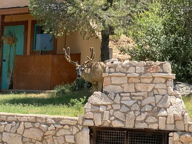 $620,000 | 1061 Tascosa Road, Amarillo, TX 79124