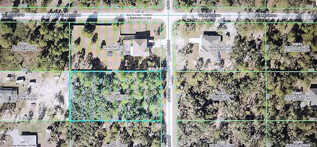 18119 Parrot Road Weeki Wachee, FL 34614 - Photo 4 of 4 a picture of city view