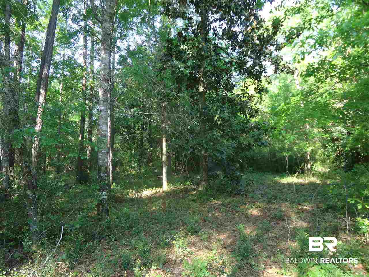0 Hammock Road Elberta, AL 36530 - Photo 7 of 15