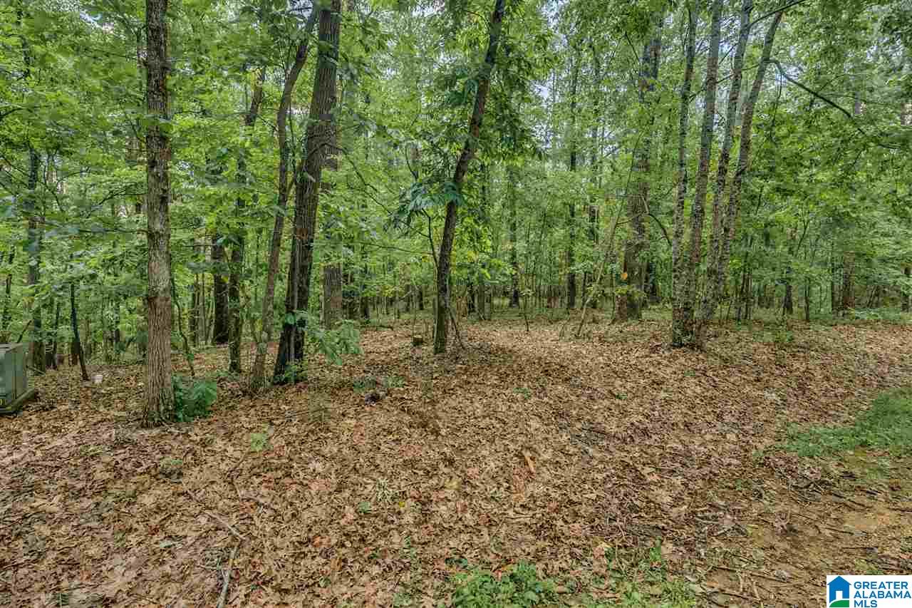5 Augusta Way, Unit 154 Birmingham, AL 35242 - Photo 5 of 7