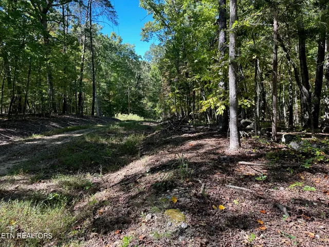 $20,000 | Lot 353 Diana Dr Spring, Spring City, TN 37381