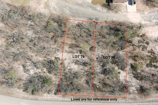 a view of a dry yard