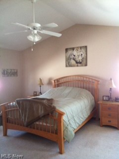 4242 Maple Grove Road Wooster, OH 44691 - Photo 5 of 22 Gallery Image 5