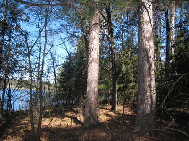 N11917 Deer Lake Road Tomahawk, WI 54487 - Photo 5 of 19 Gallery Image 5