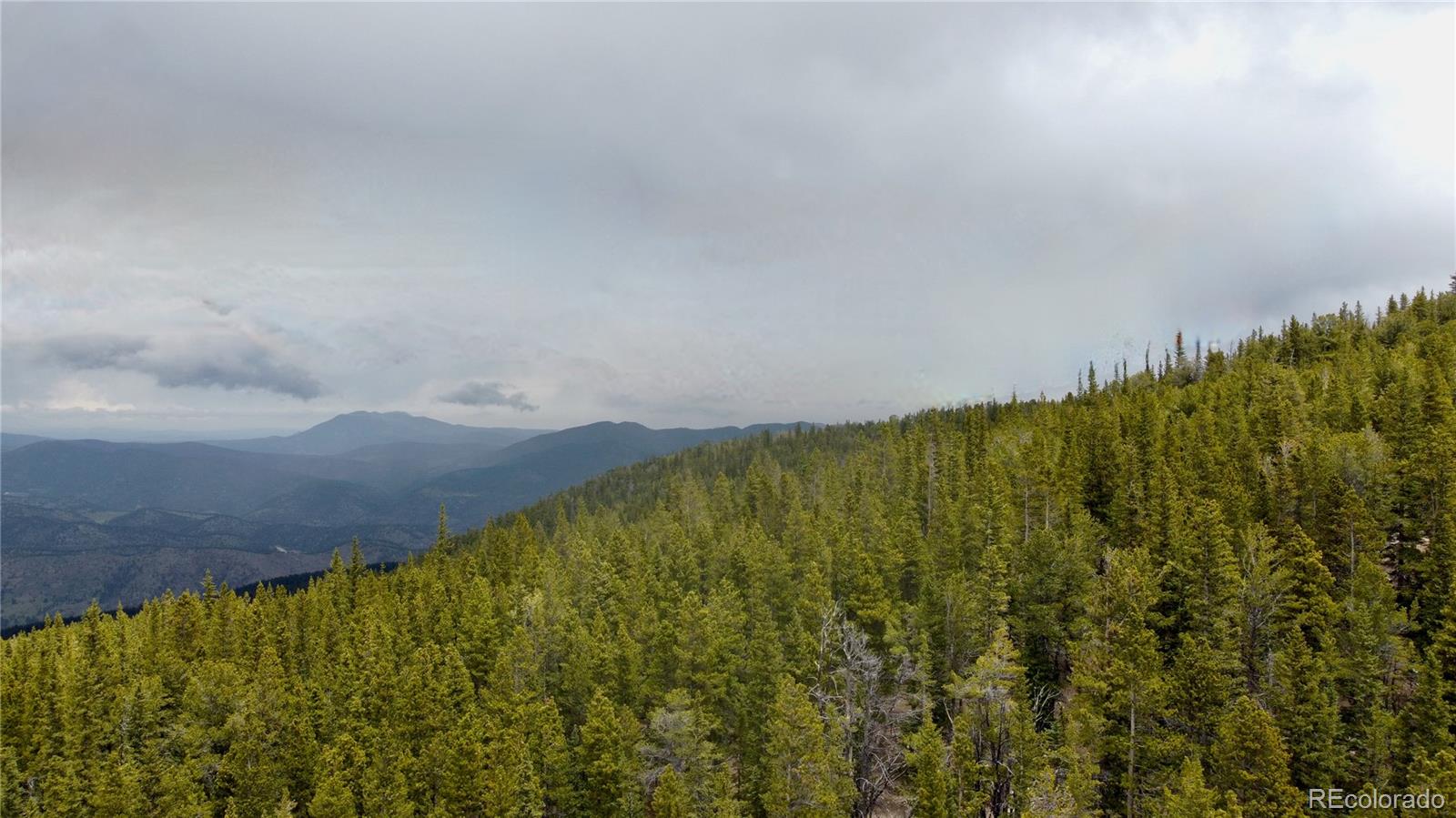 0 Hidden Wilderness Road Evergreen, CO 80439 - Photo 9 of 29