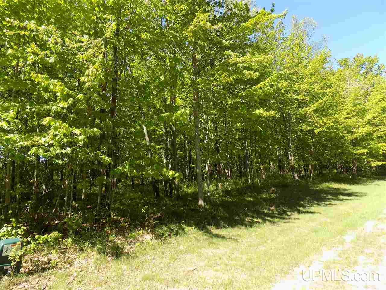 Tbd Northshore Bluffs Road, Unit 4 Manistique, MI 49854 - Photo 18 of 21