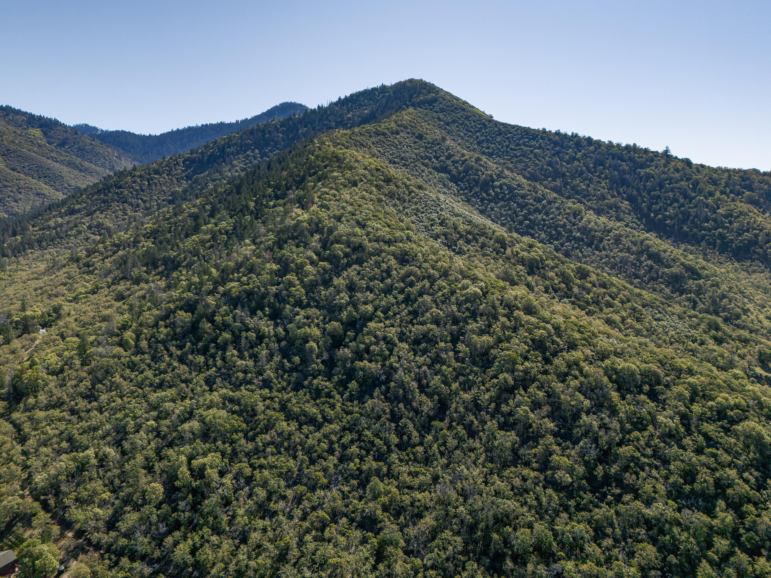 0 Humbug Creek Road Grants Pass, OR 97527 - Photo 12 of 38 DJI_20250417103001_0085_DHDR25