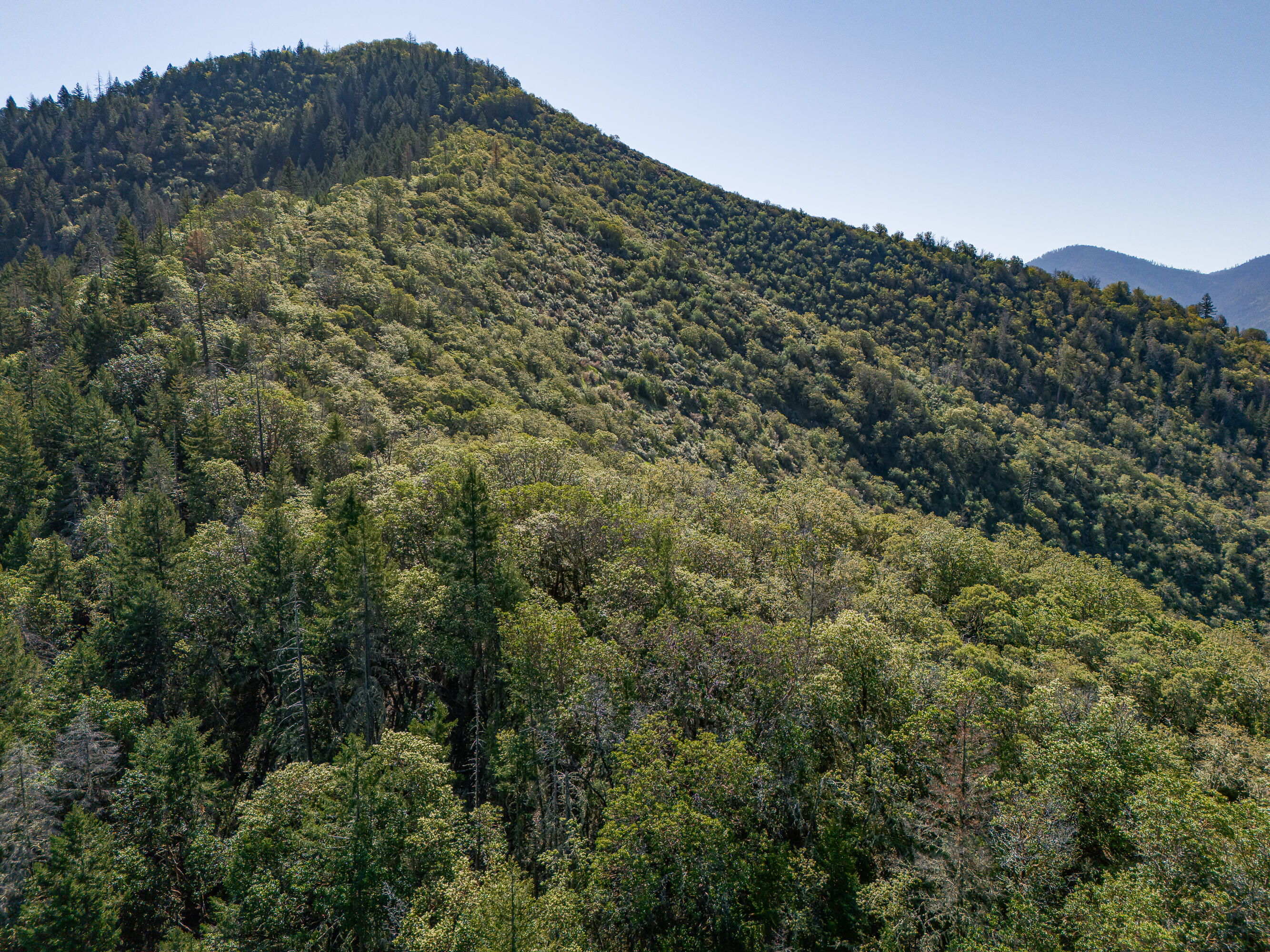 0 Humbug Creek Road Grants Pass, OR 97527 - Photo 16 of 38 DJI_20250417102542_0043_DHDR25