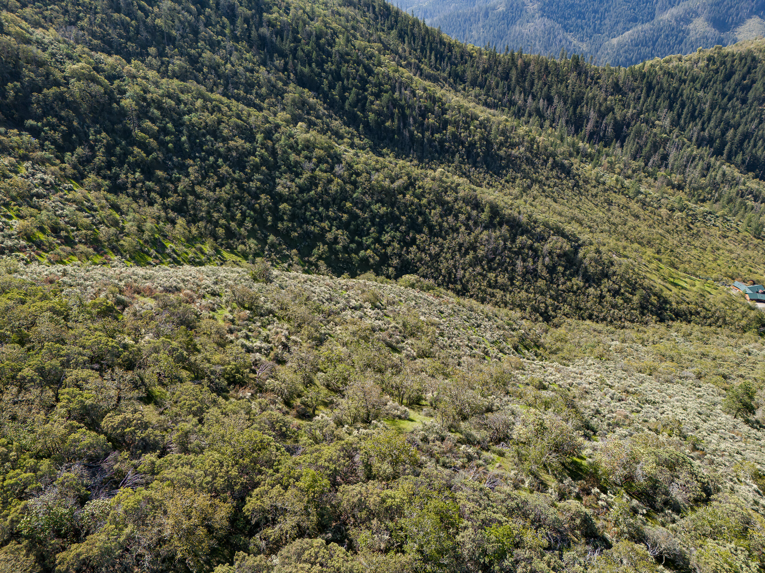 0 Humbug Creek Road Grants Pass, OR 97527 - Photo 17 of 38 DJI_20250417102551_0046_DHDR25