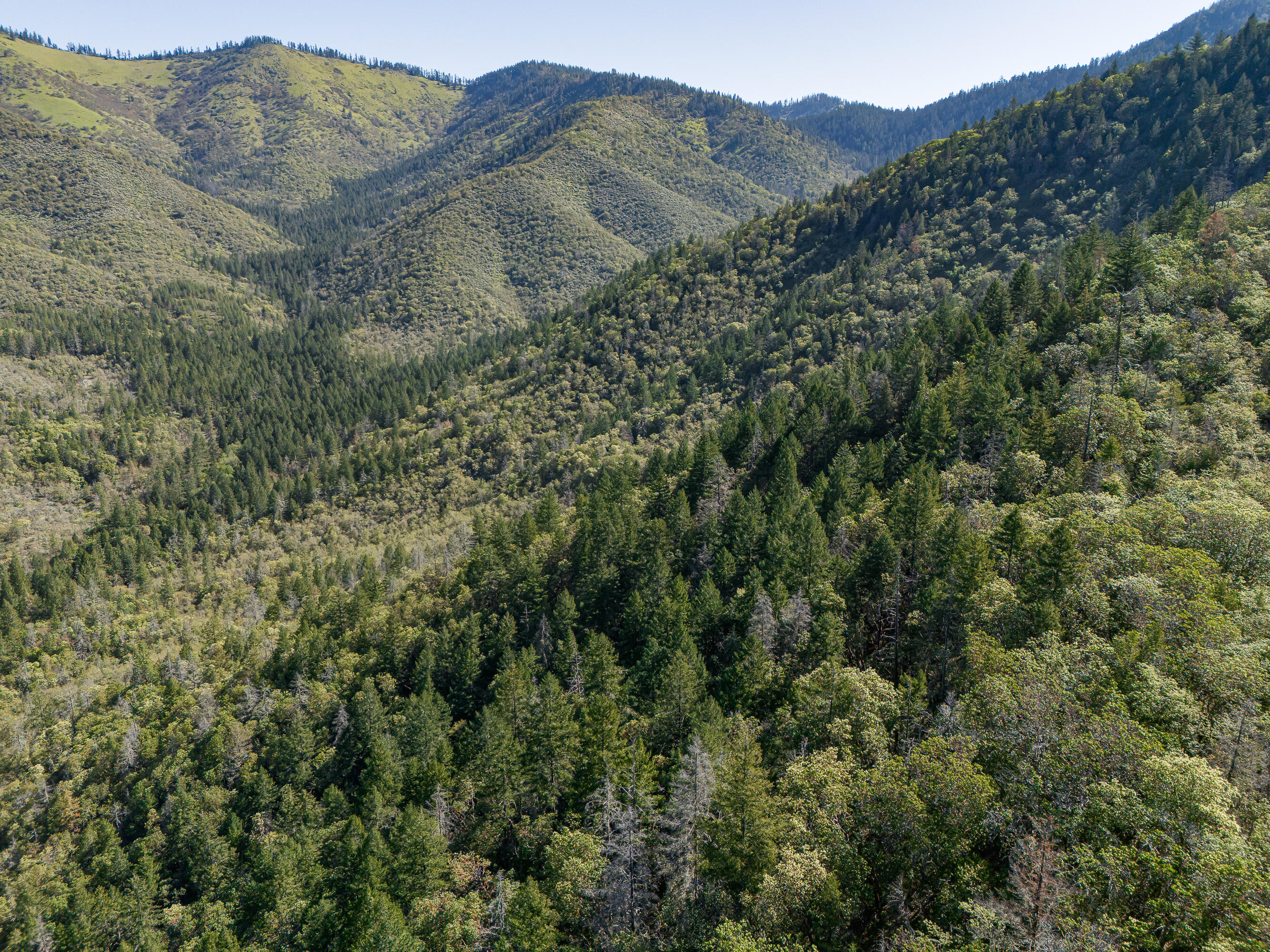 0 Humbug Creek Road Grants Pass, OR 97527 - Photo 18 of 38 DJI_20250417102600_0049_DHDR25