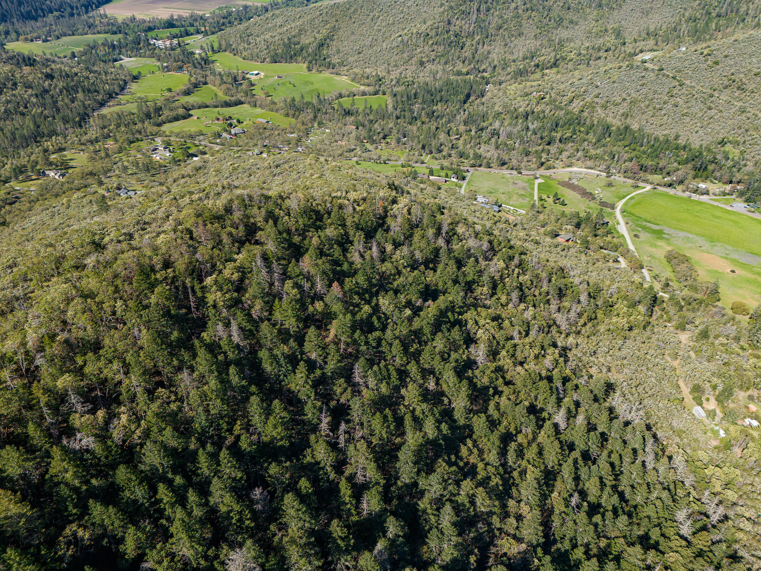 0 Humbug Creek Road Grants Pass, OR 97527 - Photo 22 of 38 DJI_20250417102725_0061_DHDR25