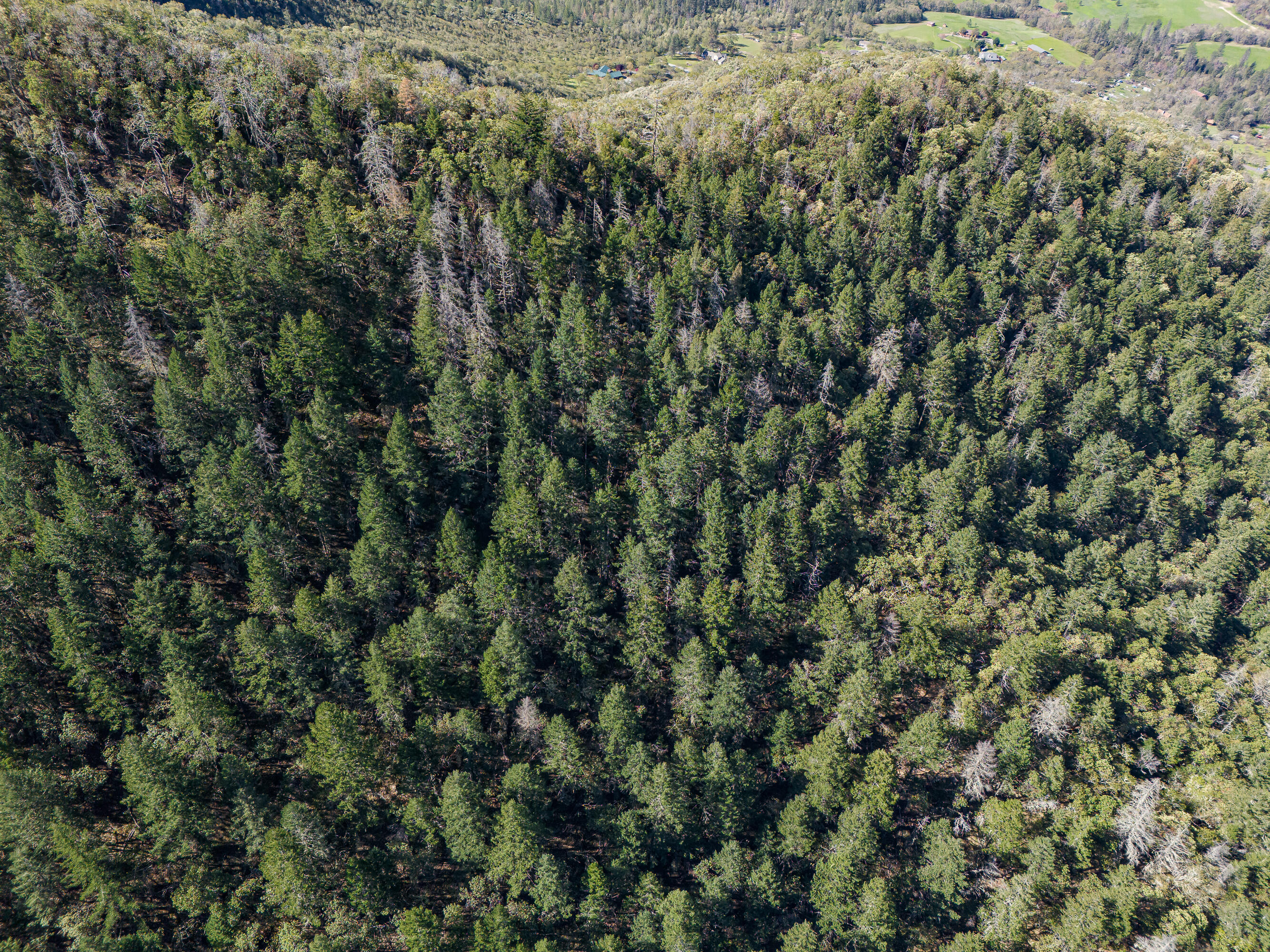 0 Humbug Creek Road Grants Pass, OR 97527 - Photo 24 of 38 DJI_20250417102746_0067_DHDR25
