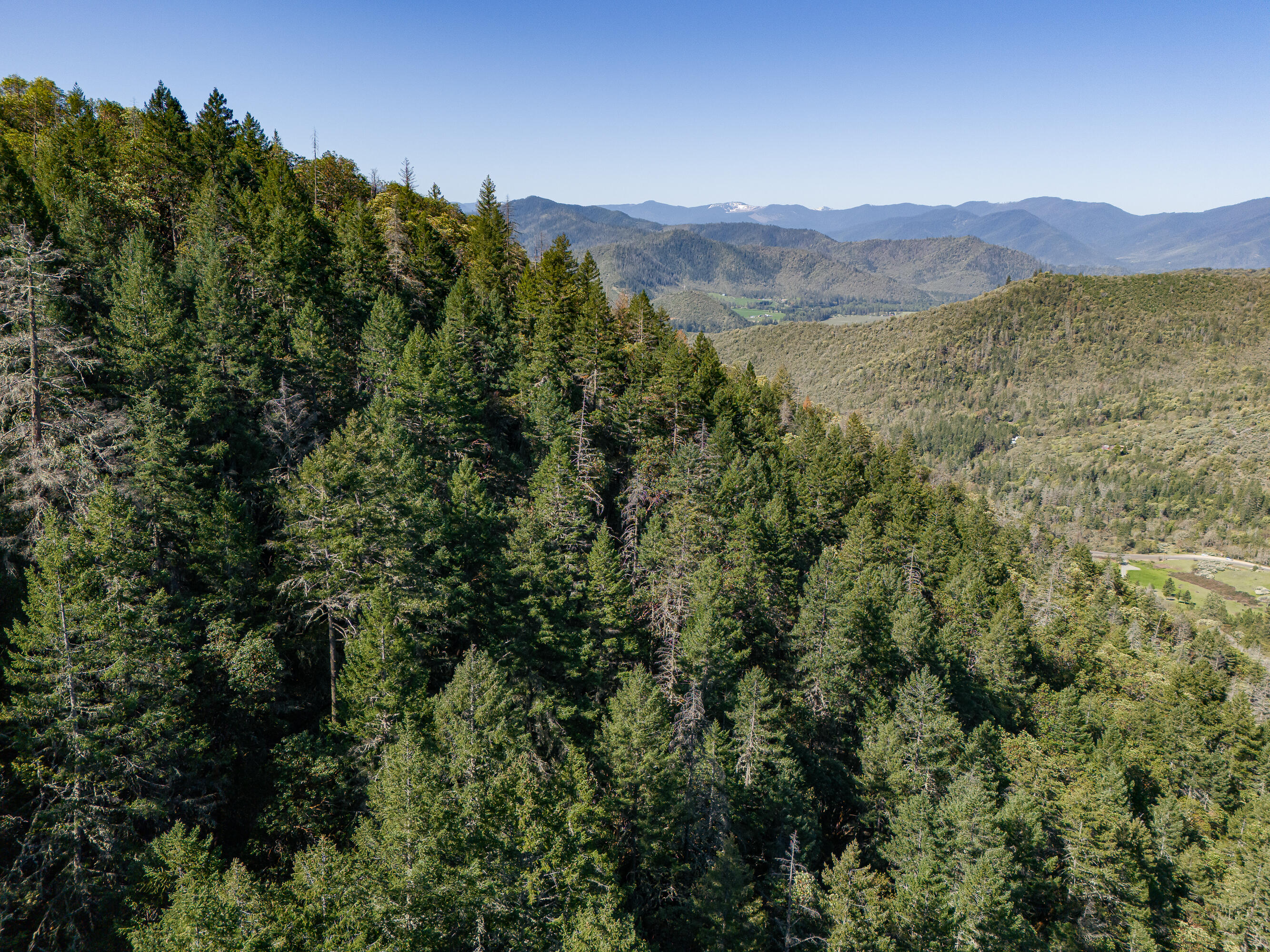 0 Humbug Creek Road Grants Pass, OR 97527 - Photo 25 of 38 DJI_20250417102300_0019_DHDR25