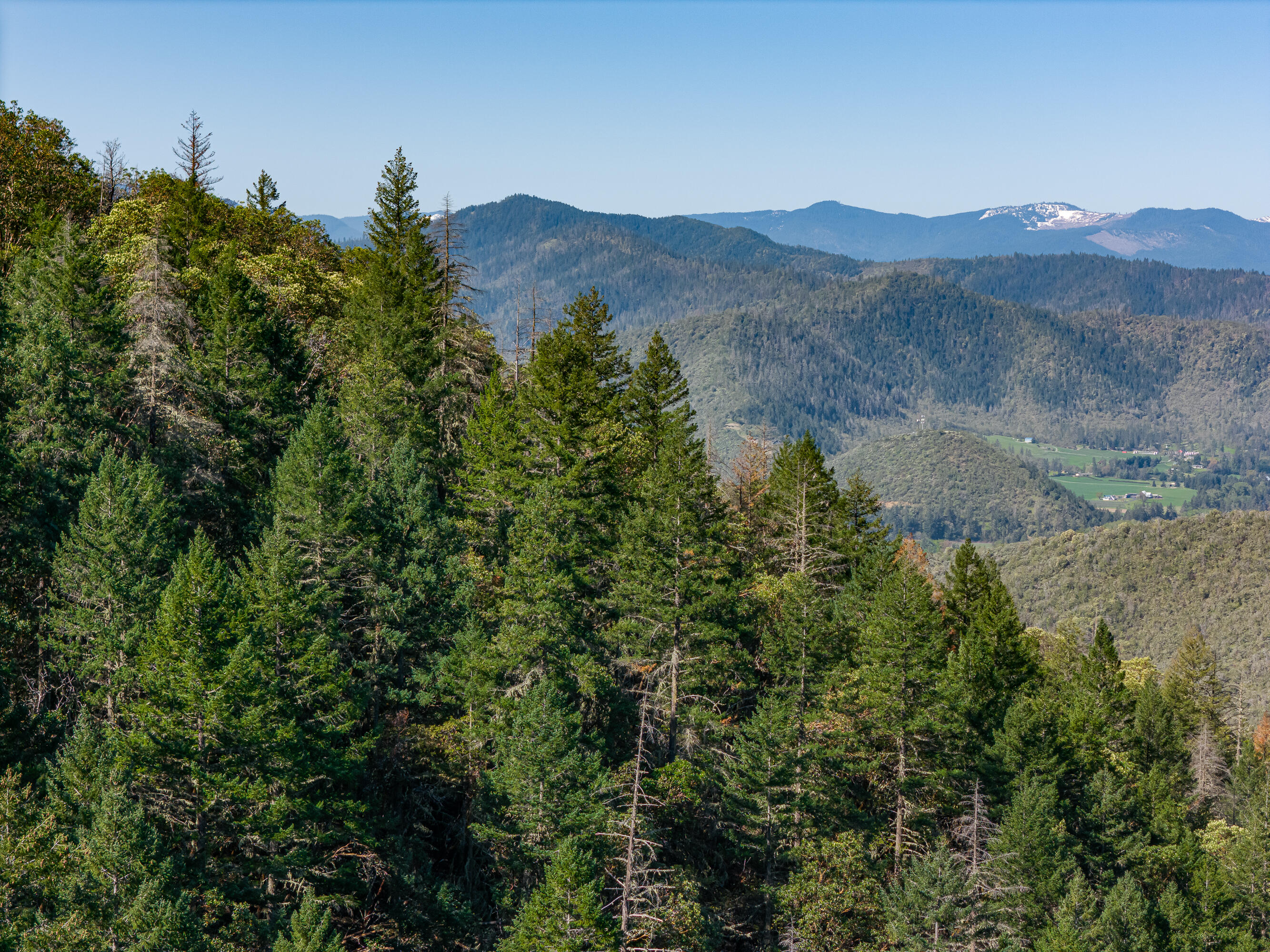 0 Humbug Creek Road Grants Pass, OR 97527 - Photo 26 of 38 DJI_20250417102323_0022_DHDR25