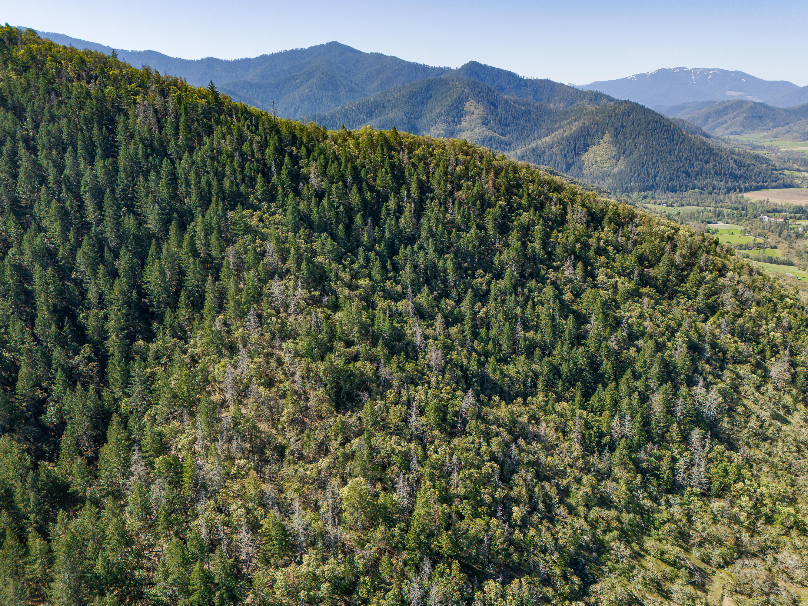 0 Humbug Creek Road Grants Pass, OR 97527 - Photo 29 of 38 DJI_20250417102426_0031_DHDR25