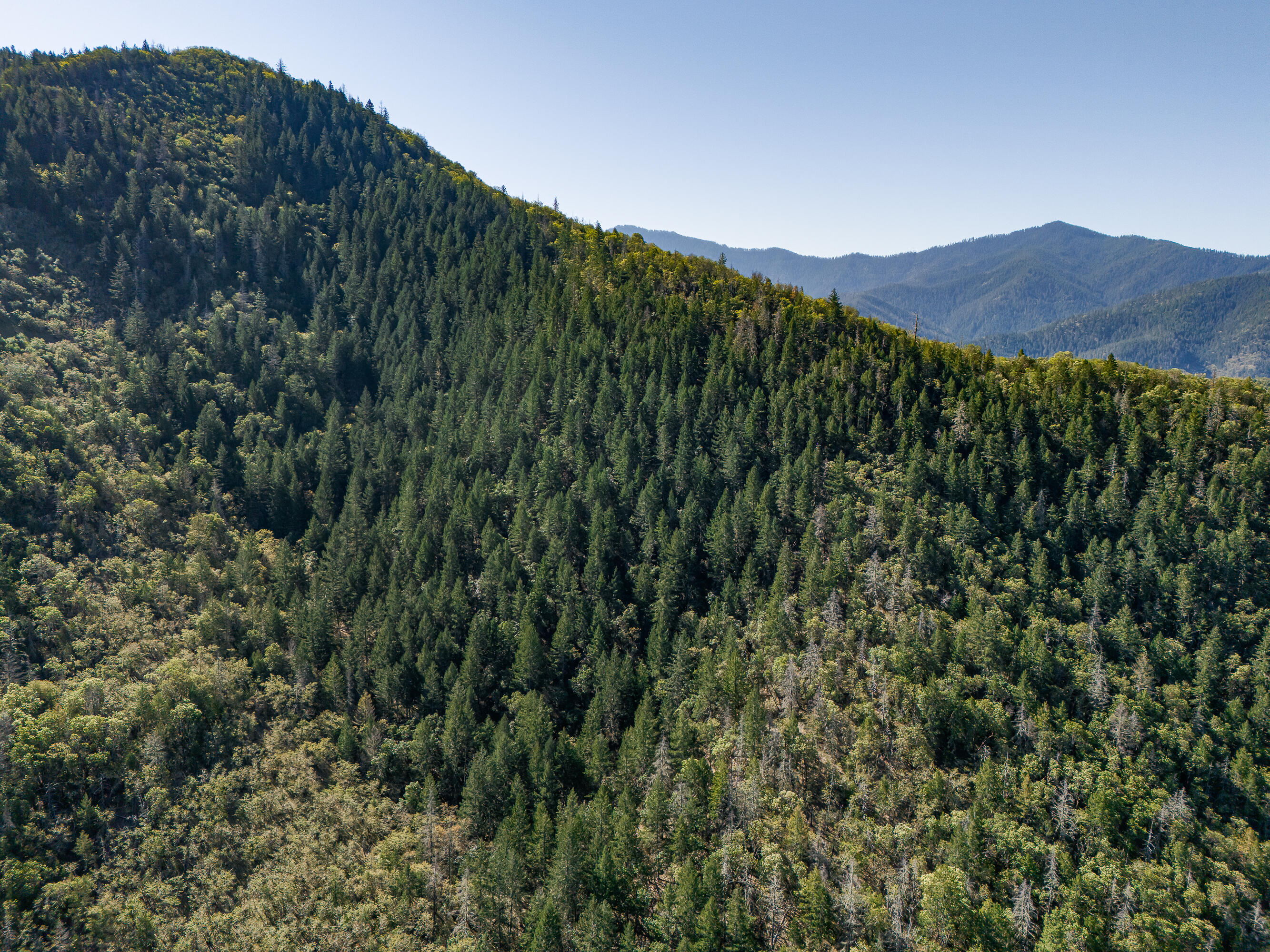 0 Humbug Creek Road Grants Pass, OR 97527 - Photo 31 of 38 DJI_20250417102442_0037_DHDR25