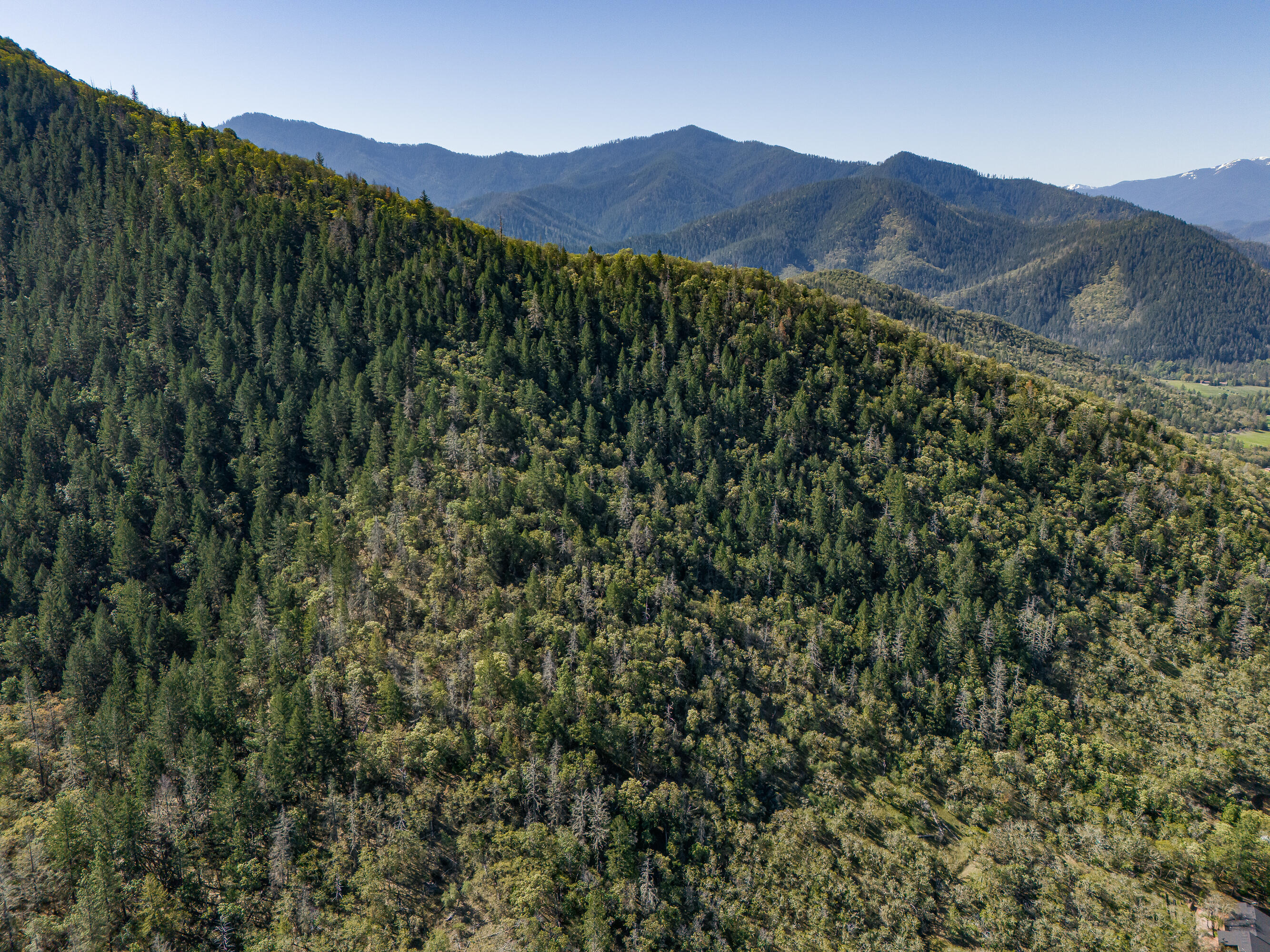 0 Humbug Creek Road Grants Pass, OR 97527 - Photo 32 of 38 DJI_20250417102453_0040_DHDR25