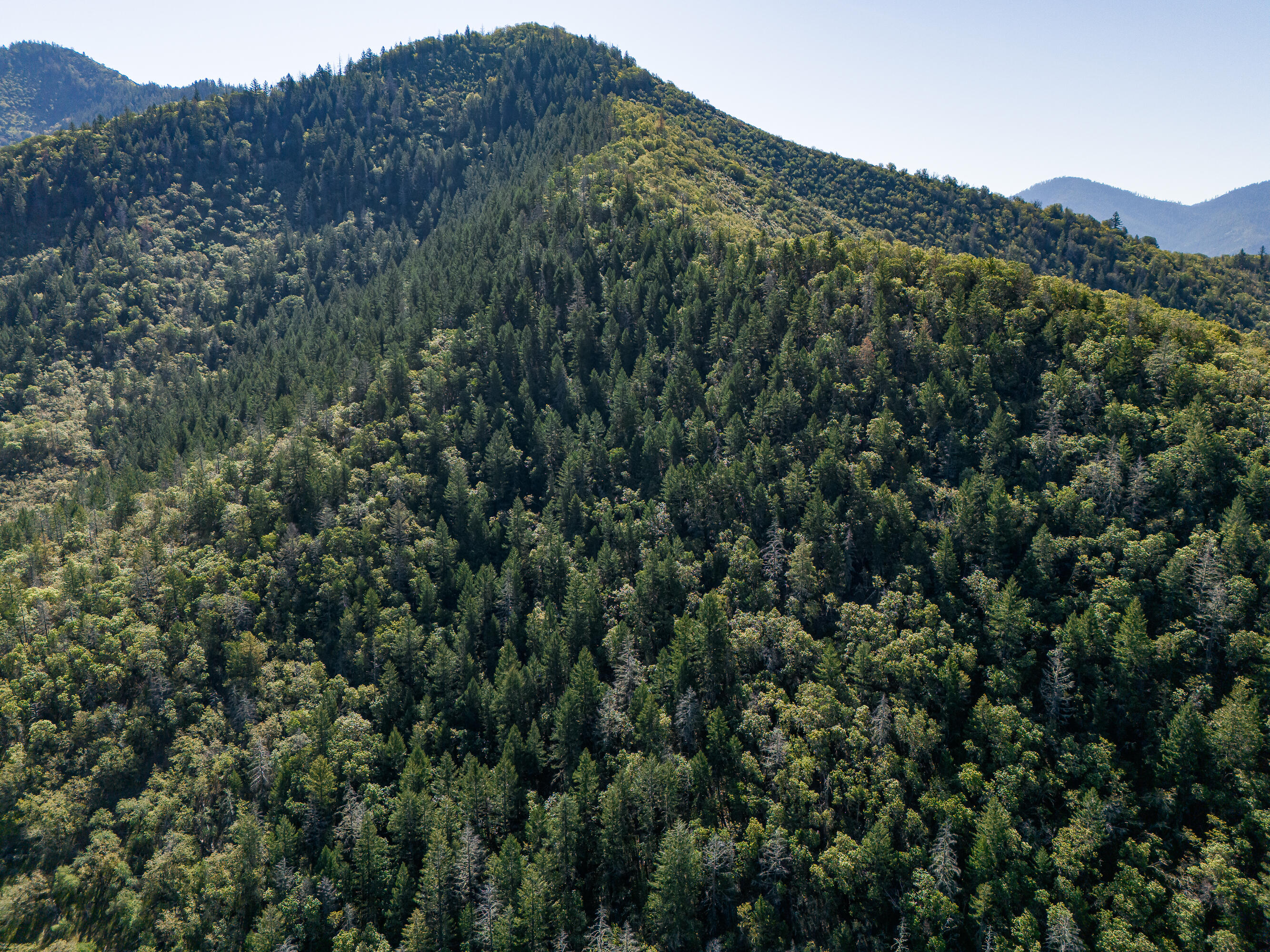 0 Humbug Creek Road Grants Pass, OR 97527 - Photo 33 of 38 DJI_20250417102122_0001_DHDR25