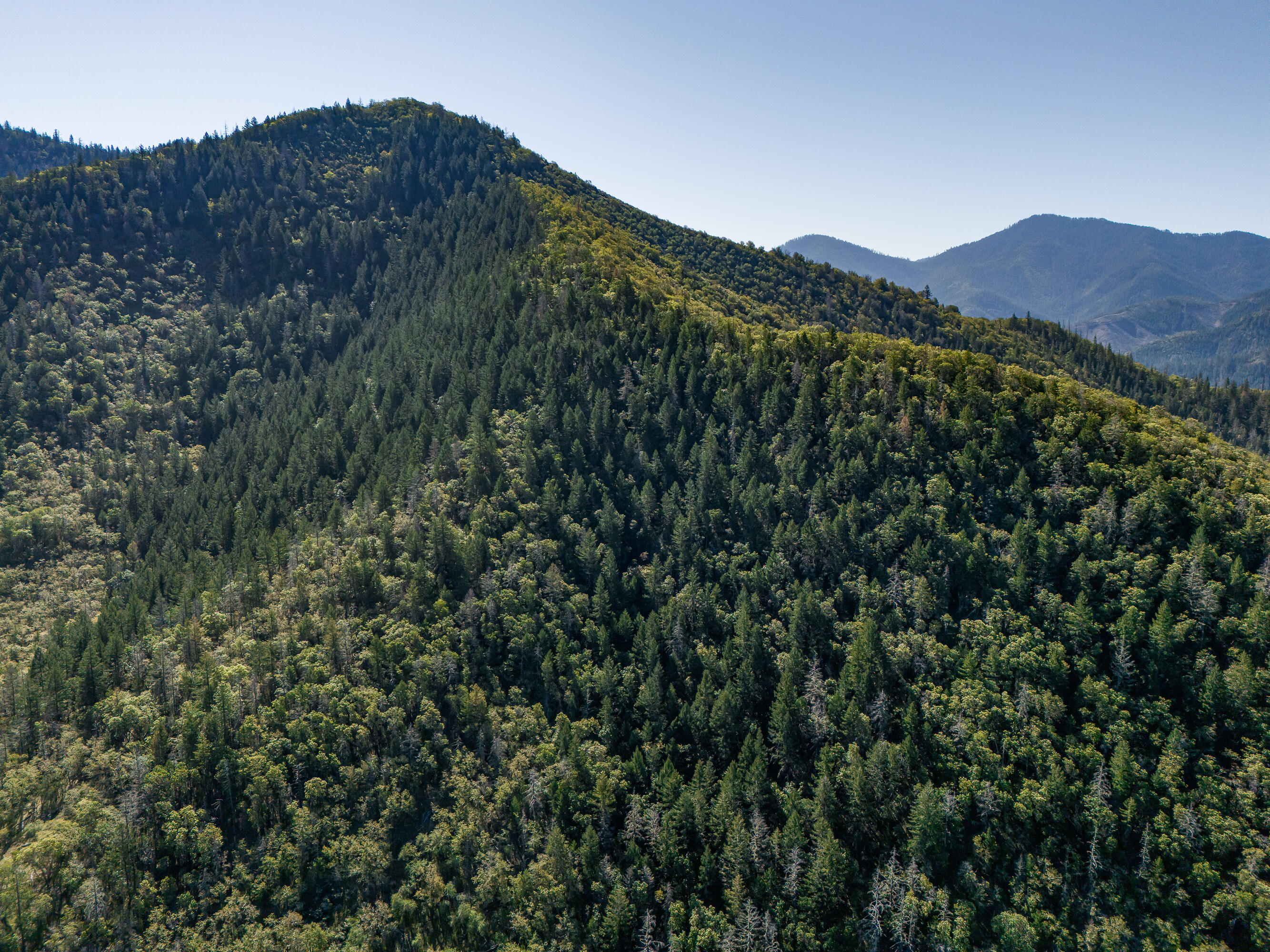 0 Humbug Creek Road Grants Pass, OR 97527 - Photo 34 of 38 DJI_20250417102137_0004_DHDR25