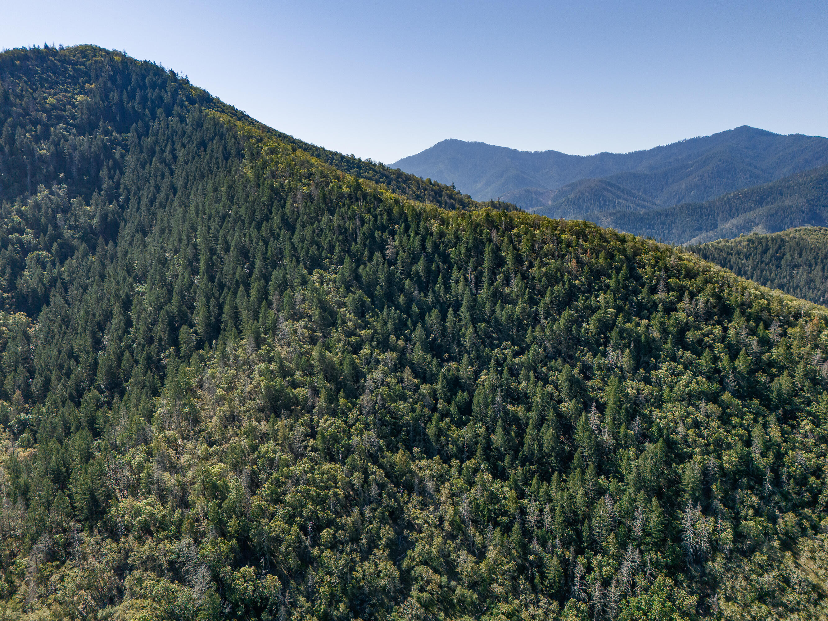 0 Humbug Creek Road Grants Pass, OR 97527 - Photo 35 of 38 DJI_20250417102153_0007_DHDR25
