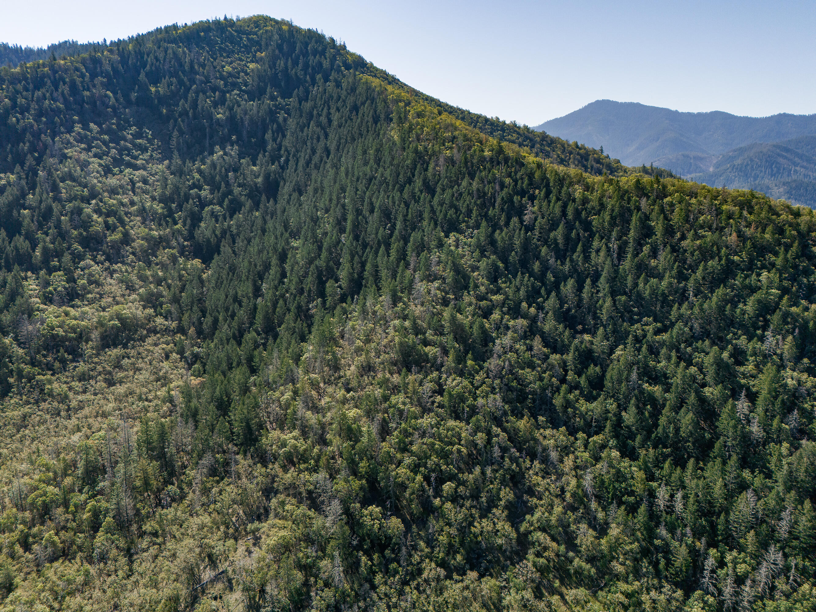 0 Humbug Creek Road Grants Pass, OR 97527 - Photo 36 of 38 DJI_20250417102207_0010_DHDR25