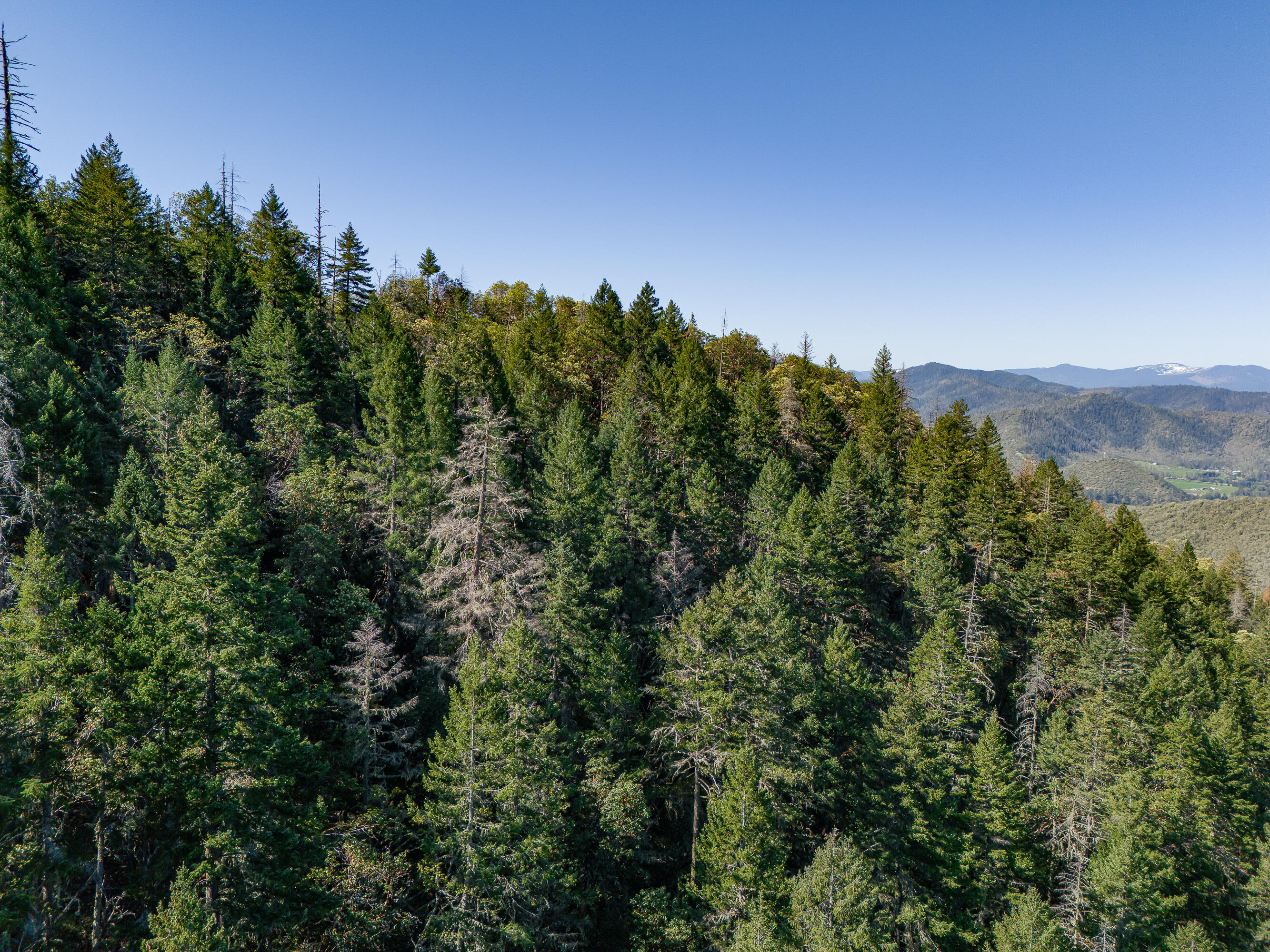 0 Humbug Creek Road Grants Pass, OR 97527 - Photo 38 of 38 DJI_20250417102252_0016_DHDR25