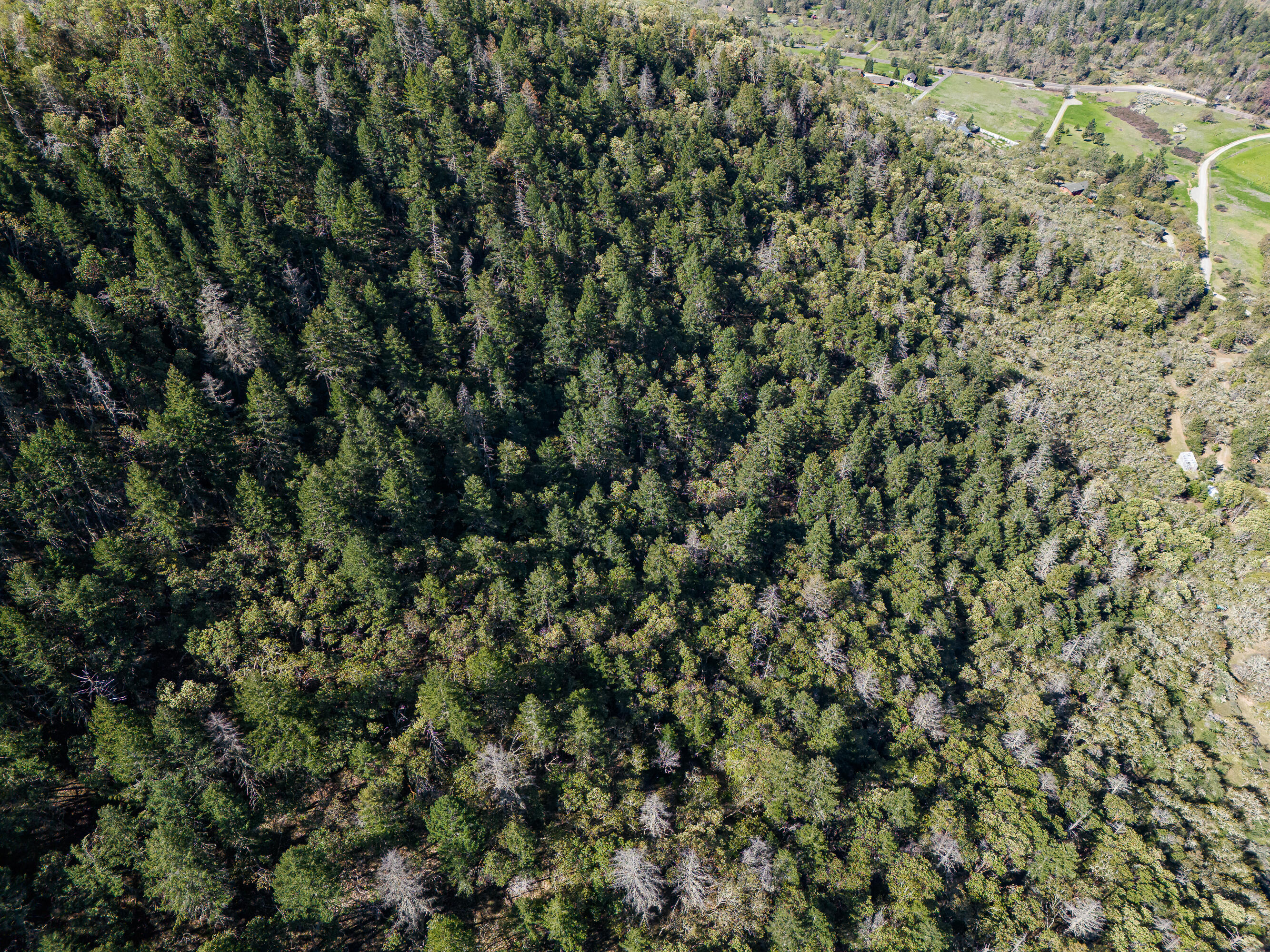 0 Humbug Creek Road Grants Pass, OR 97527 - Photo 8 of 38 DJI_20250417102808_0073_DHDR25